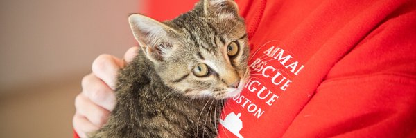 ARLBostonRescue Profile Banner