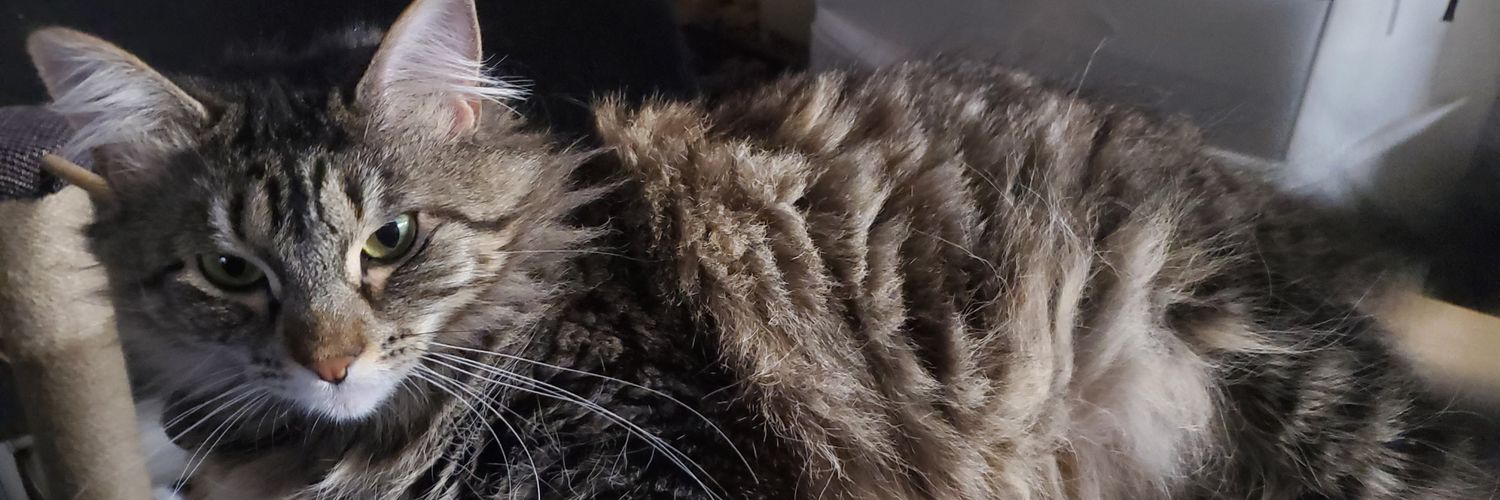 Emo_Litten's profile banner image