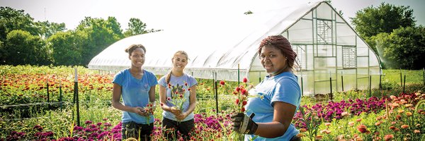 CICFoundation Profile Banner
