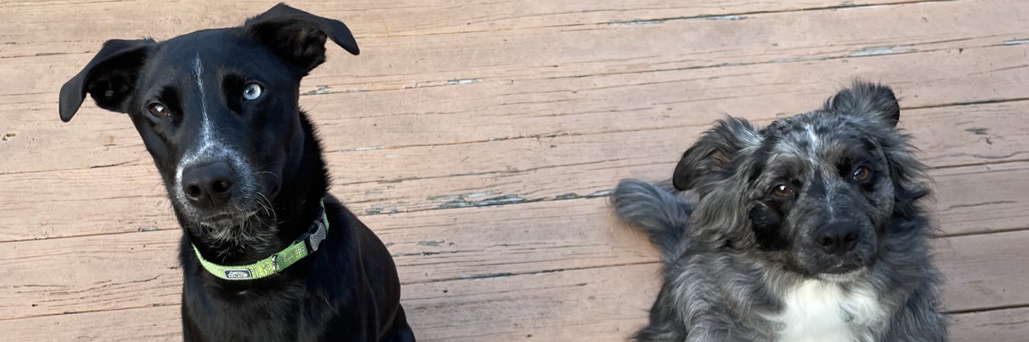 mrizzle96's profile banner image