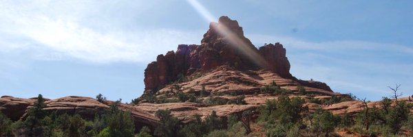 MsTsuchida Profile Banner