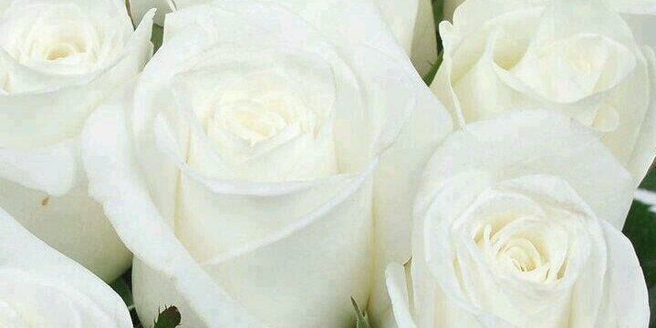 ItsEmmaMorris's profile banner image