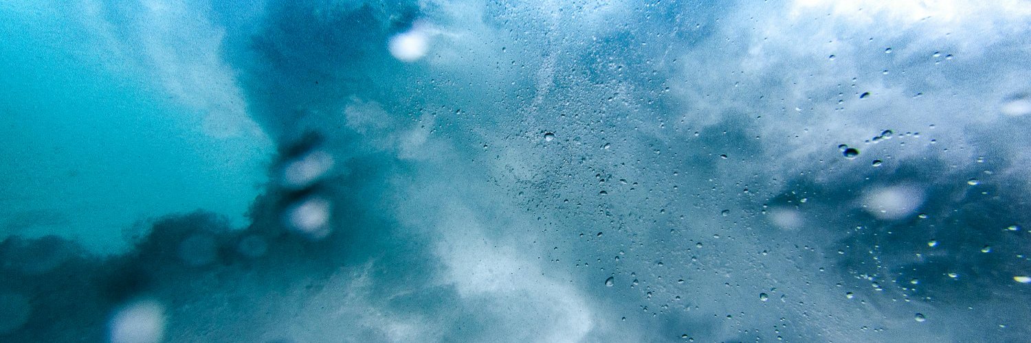 SteinjDavid's profile banner image