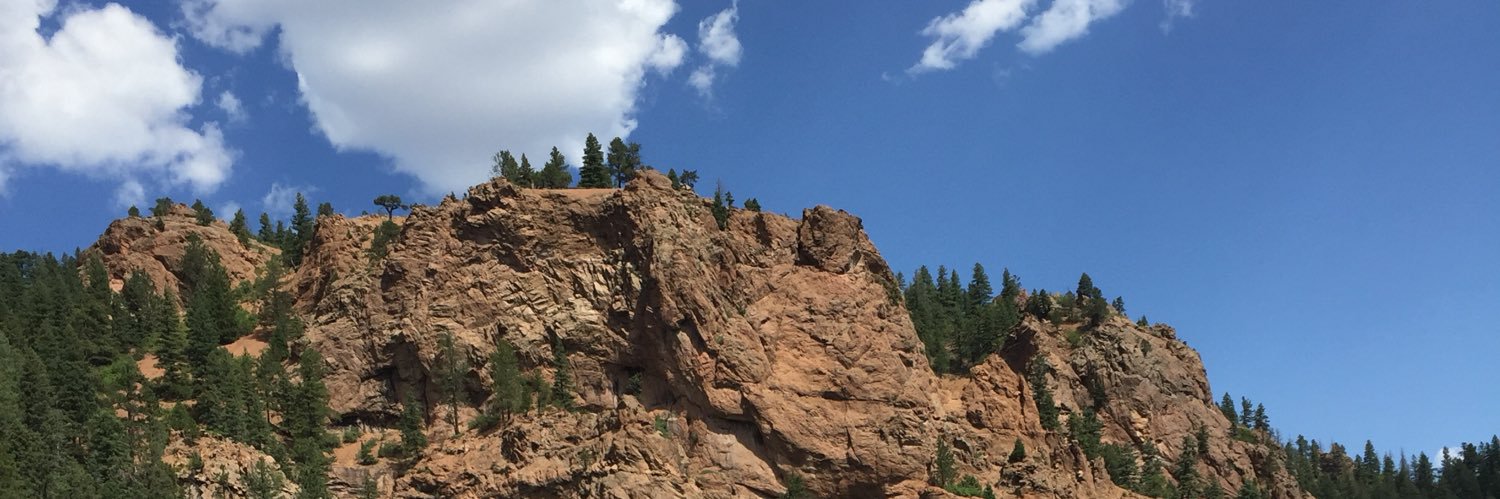 karys_olson's profile banner image