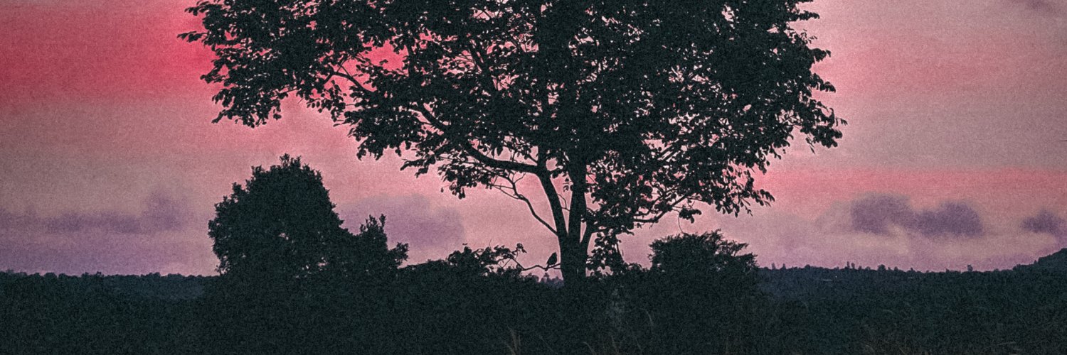 vinykH's profile banner image
