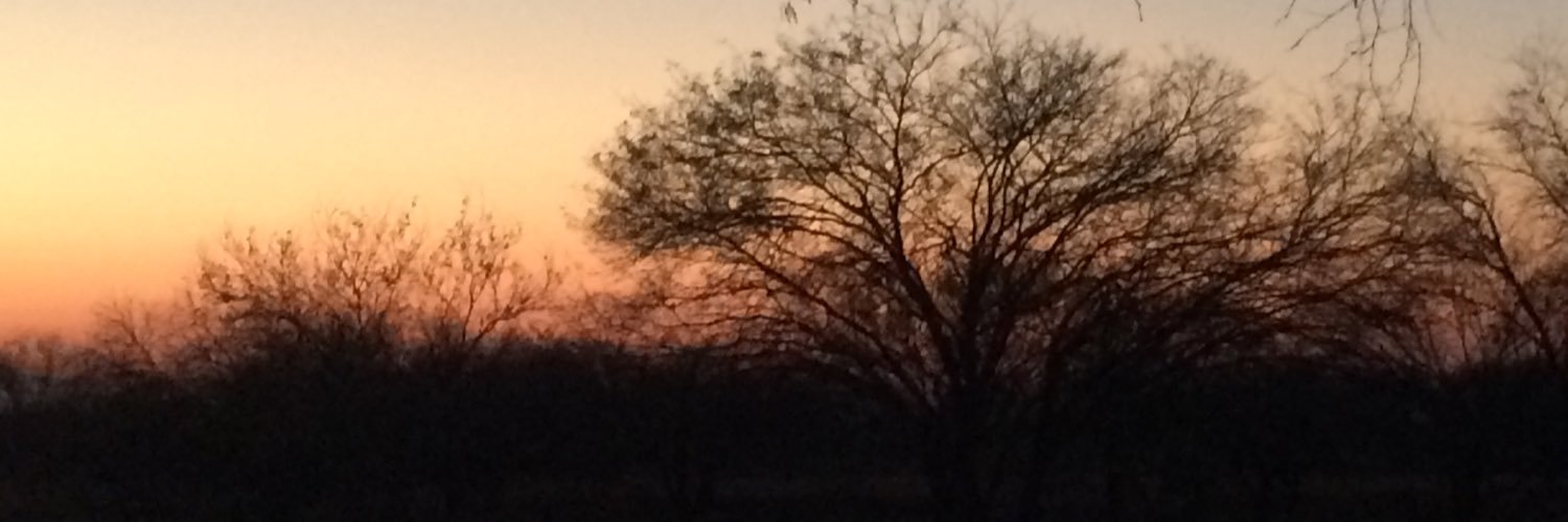 panchougalde's profile banner image