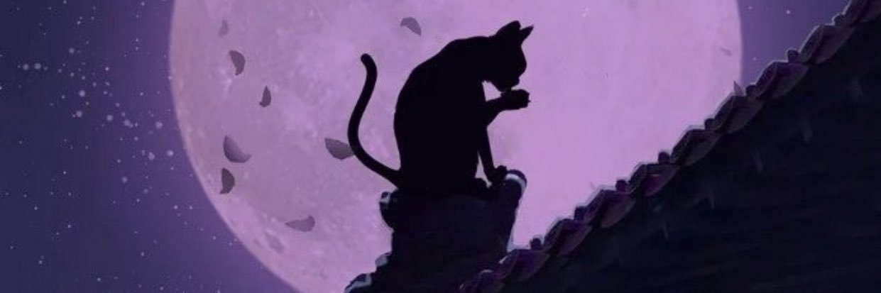 anasaliz0's profile banner image