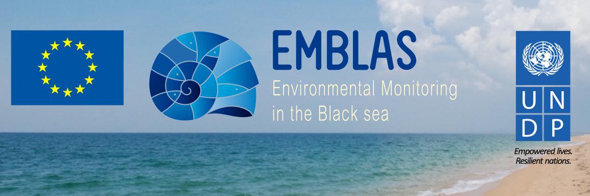 EmblasProject's profile banner image
