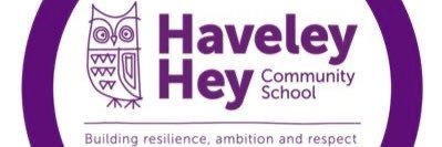 Haveley Hey Year 6 banner