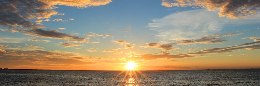 David Landeros banner