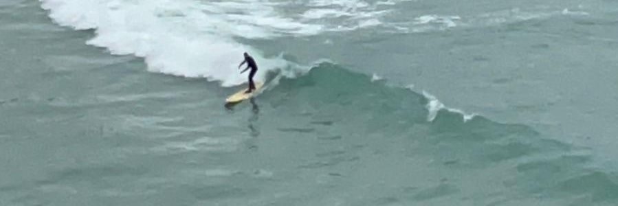 Jamie S Wharfe banner