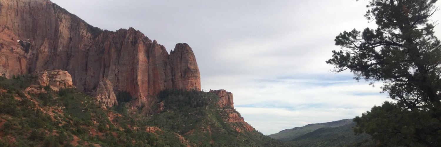 theTrailfest's profile banner image