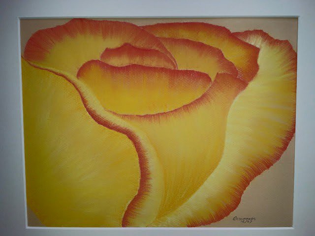 cisummers's profile banner image