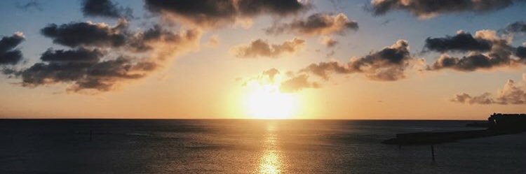 A_Y_chan16's profile banner image