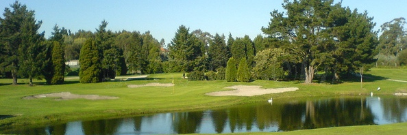 catalin56273161's profile banner image