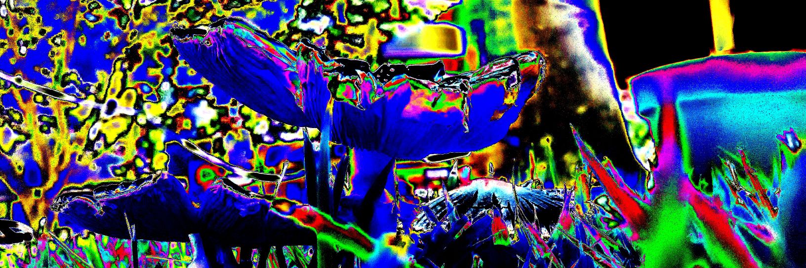 StoneyFish9's profile banner image
