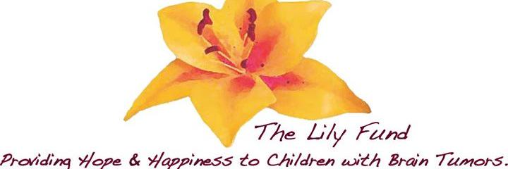 TheLilyFund's profile banner image