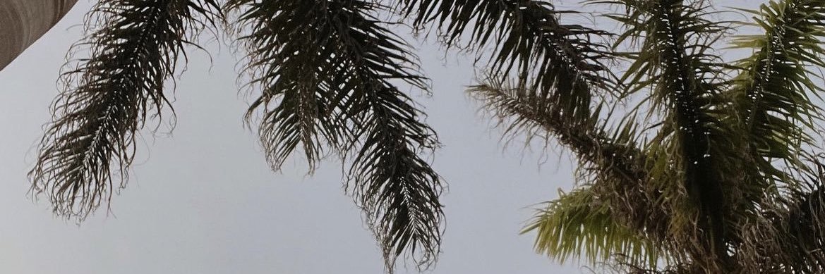 Georgia_JB's profile banner image