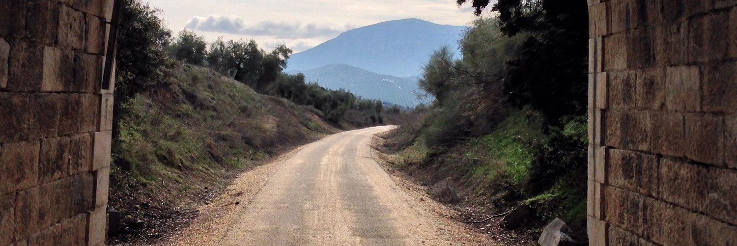 Laura_terradas's profile banner image
