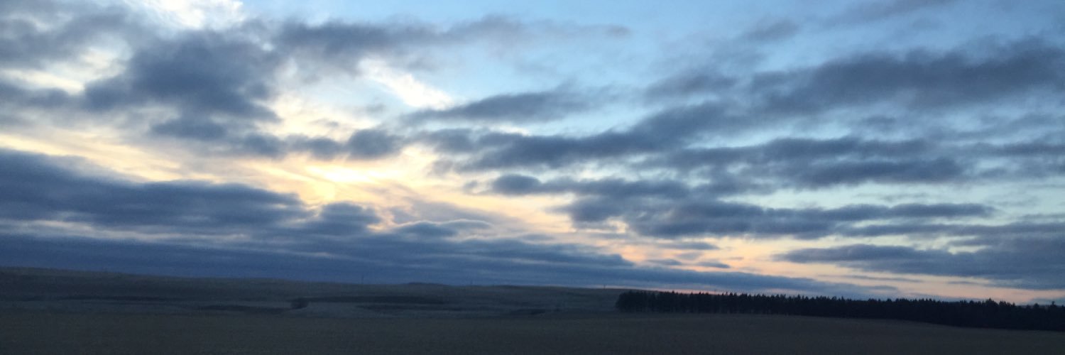 Freezie_85's profile banner image