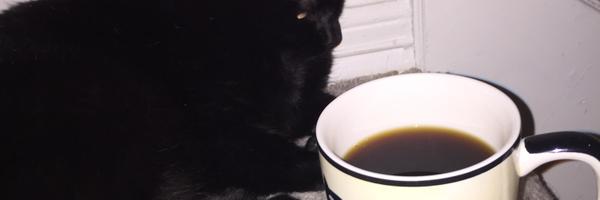 Sajiah Profile Banner