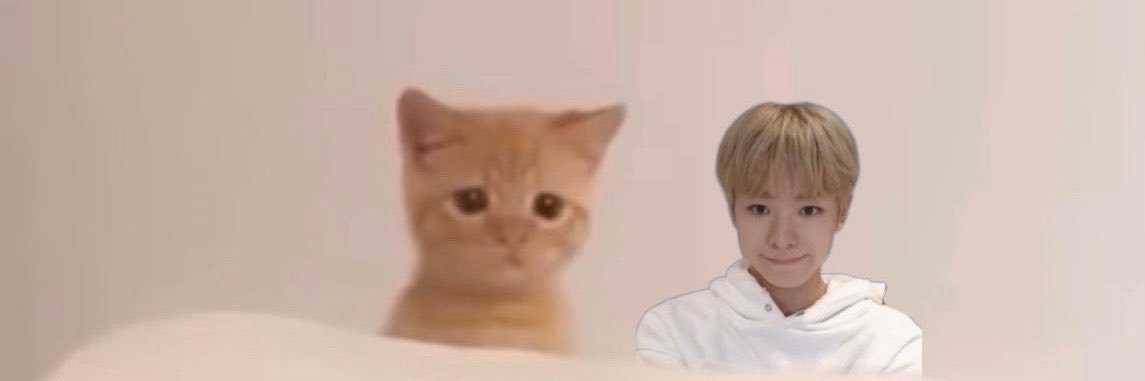 kimmeowj's profile banner image