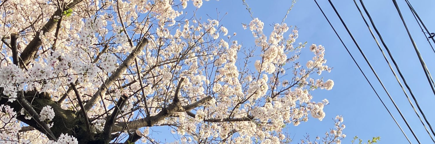 志摩 banner