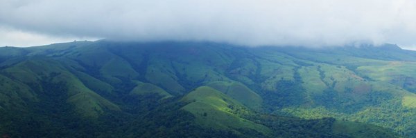 DhatriKamat Profile Banner