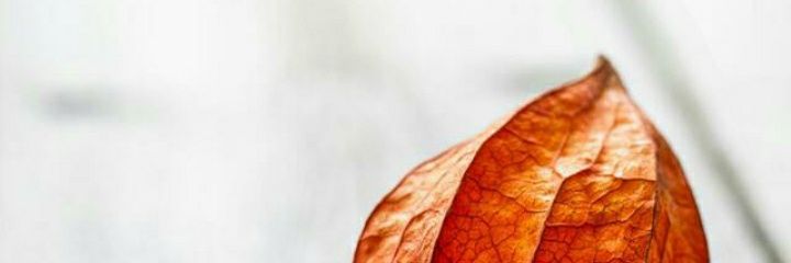 RonohKE's profile banner image