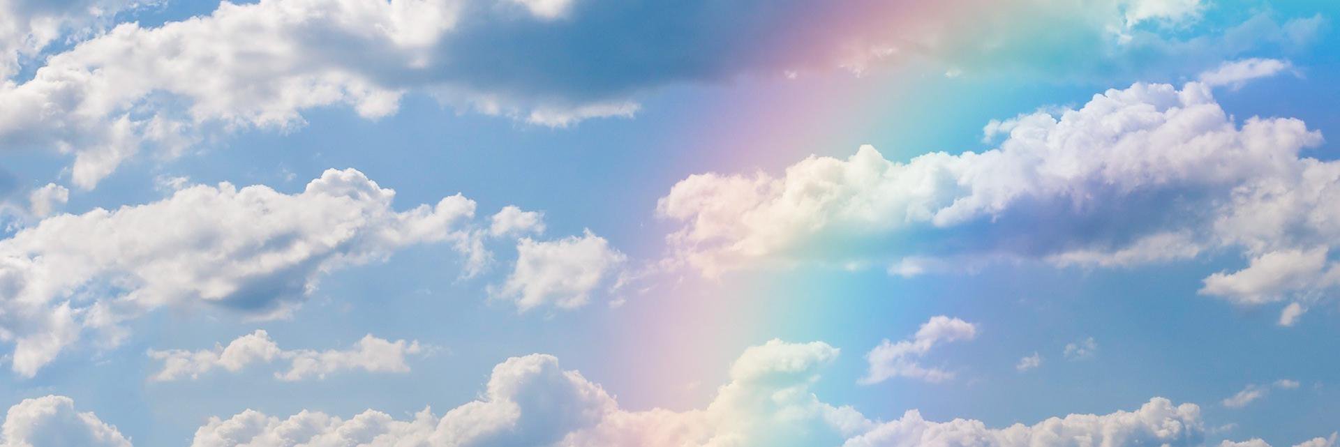 vasilev0015's profile banner image