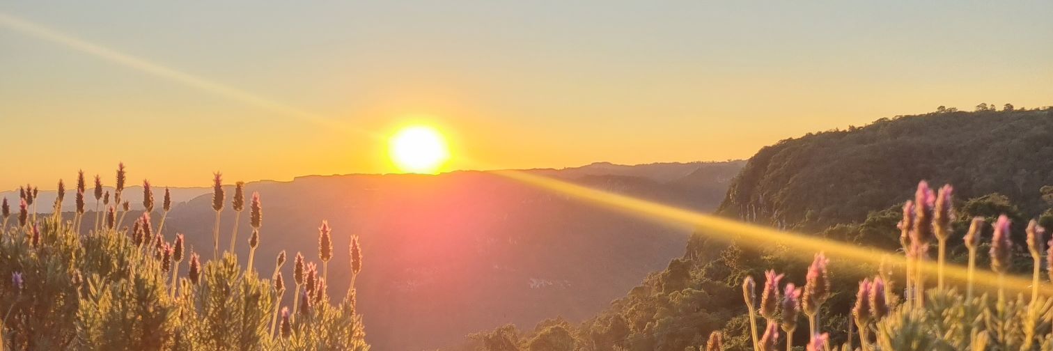 ginascimentod's profile banner image