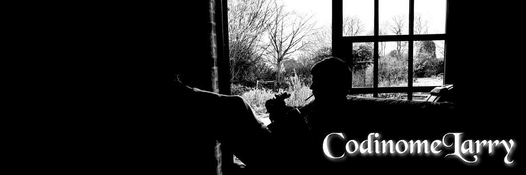 CodinomeLarry's profile banner image