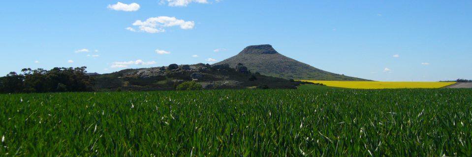 Guille Divito banner