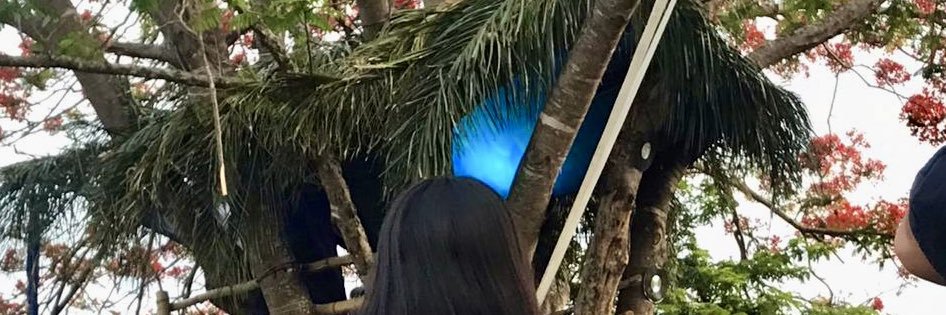_aliceferr's profile banner image