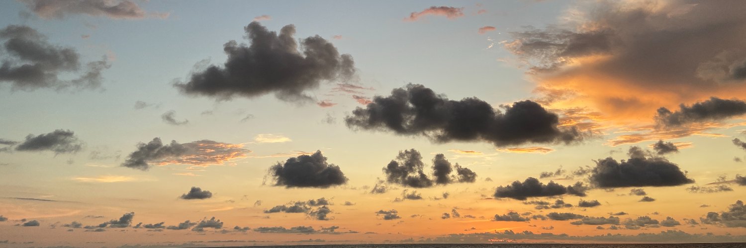 CeeHenderson's profile banner image