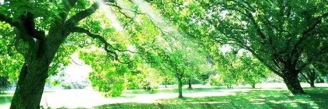 teojh's profile banner image