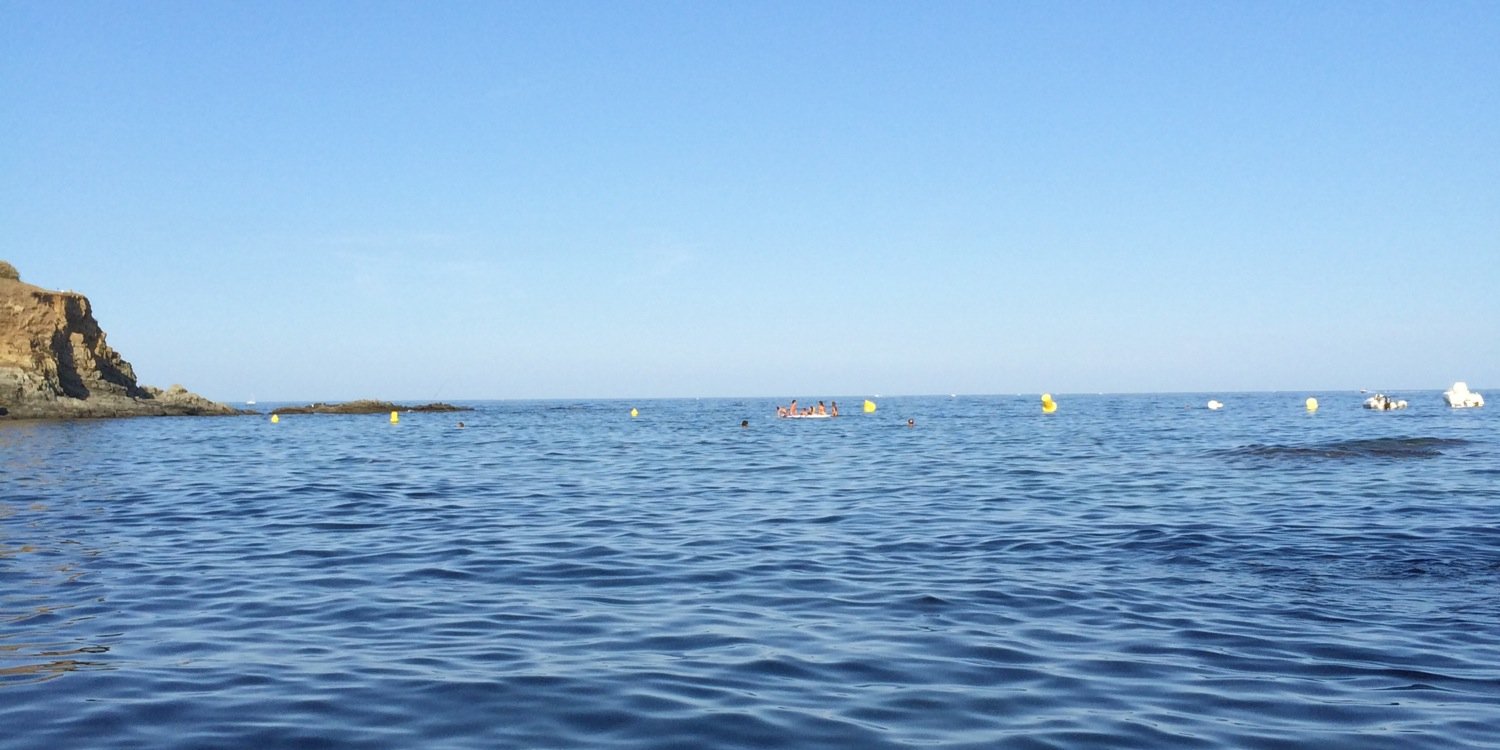 Lluís Ribera banner