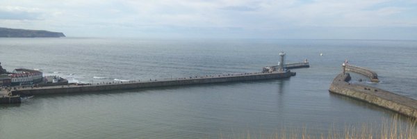 barnsleybart Profile Banner