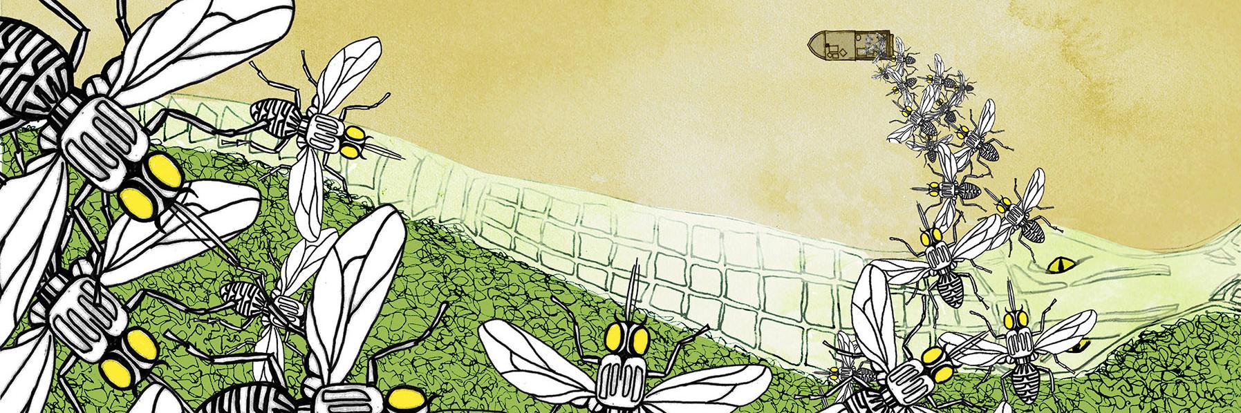 helenjbate's profile banner image