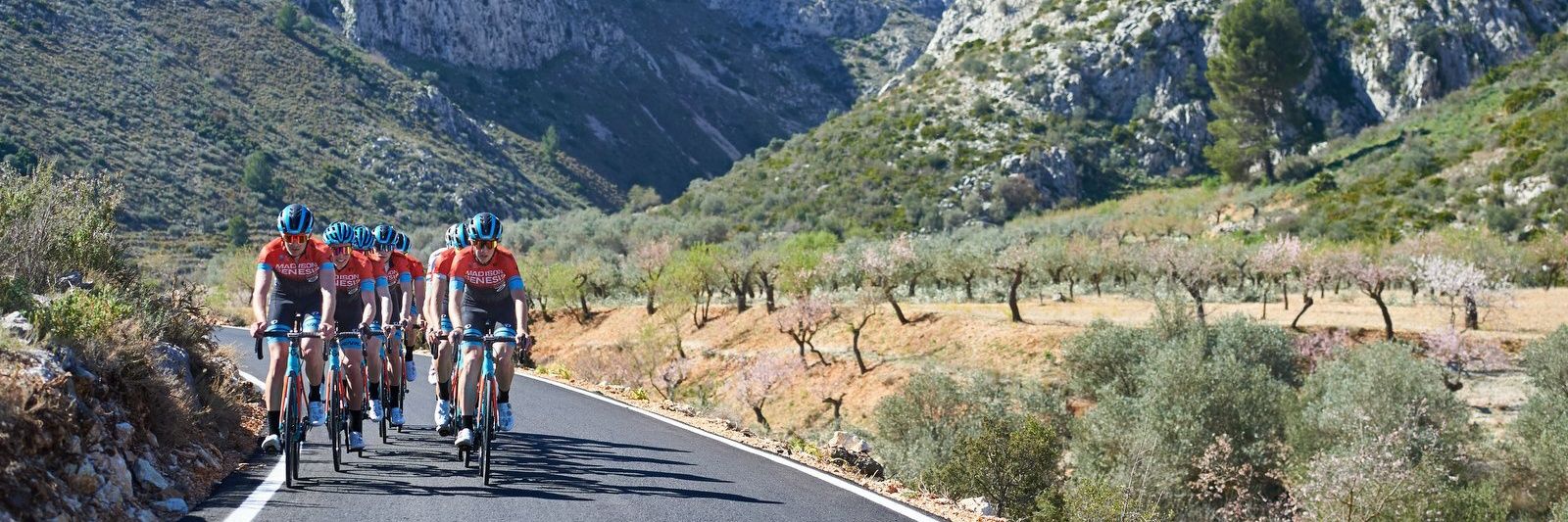 Richard Handley banner