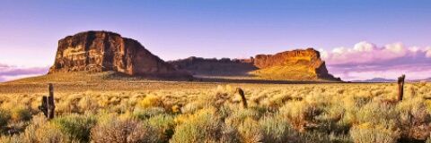 oroutback411's profile banner image