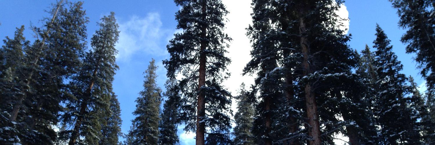 JaysOriginal's profile banner image