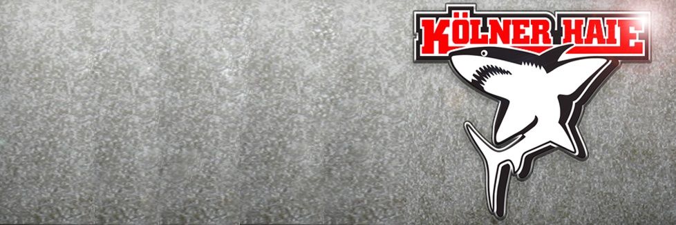 Die_Flitzpiepe's profile banner image