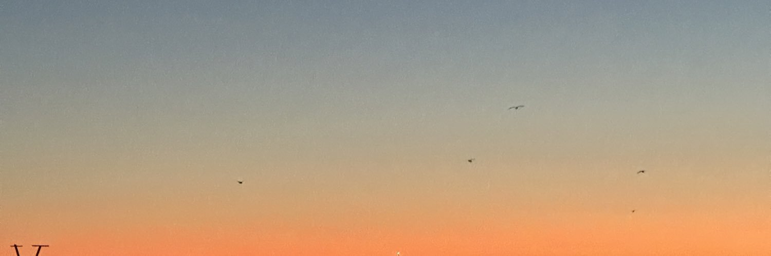 Melezitose 🦋 banner