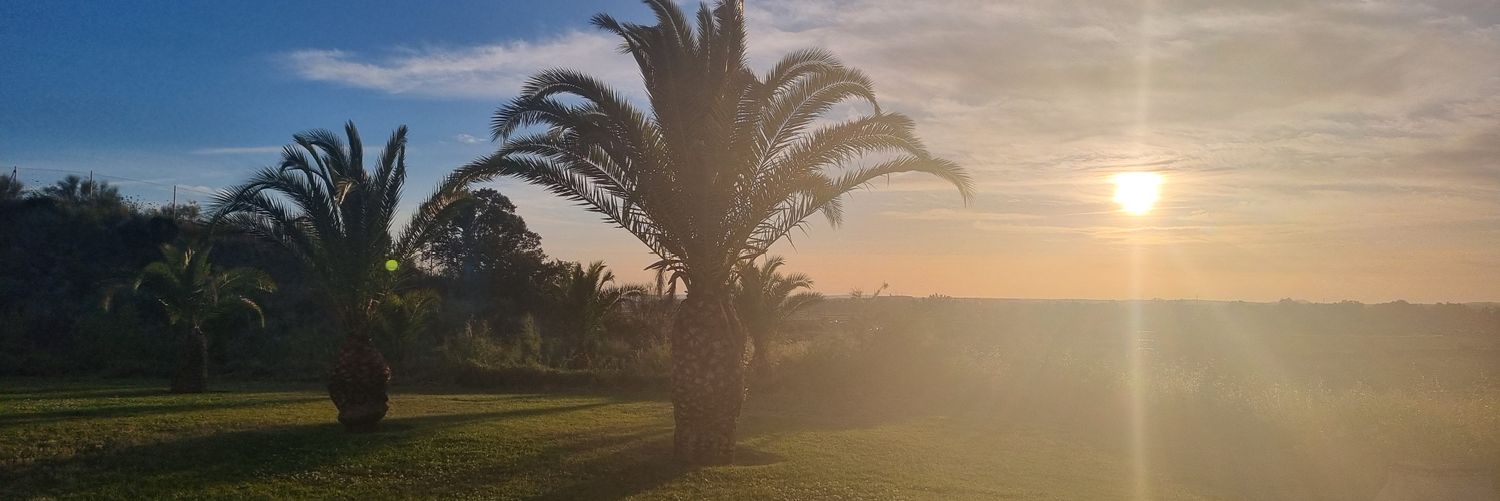 BcAnita's profile banner image