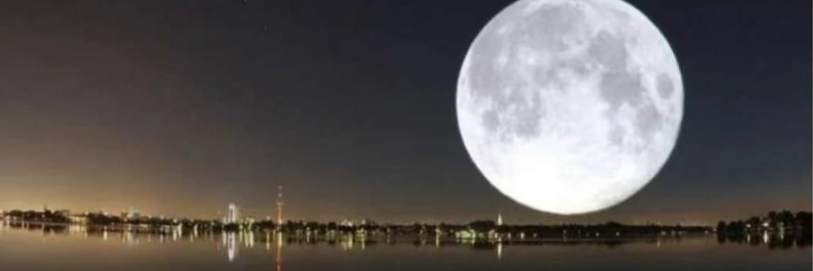 سلطان الشكره banner