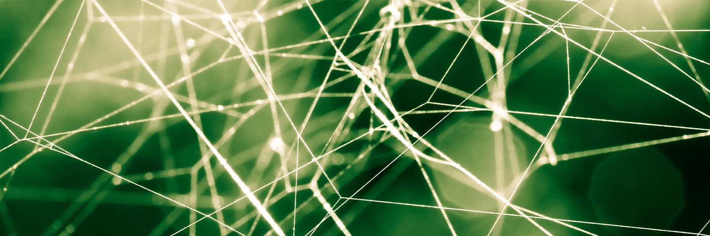 Inspectieraad banner