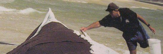 LDWhitmire's profile banner image