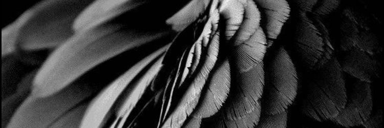 saaulsb's profile banner image