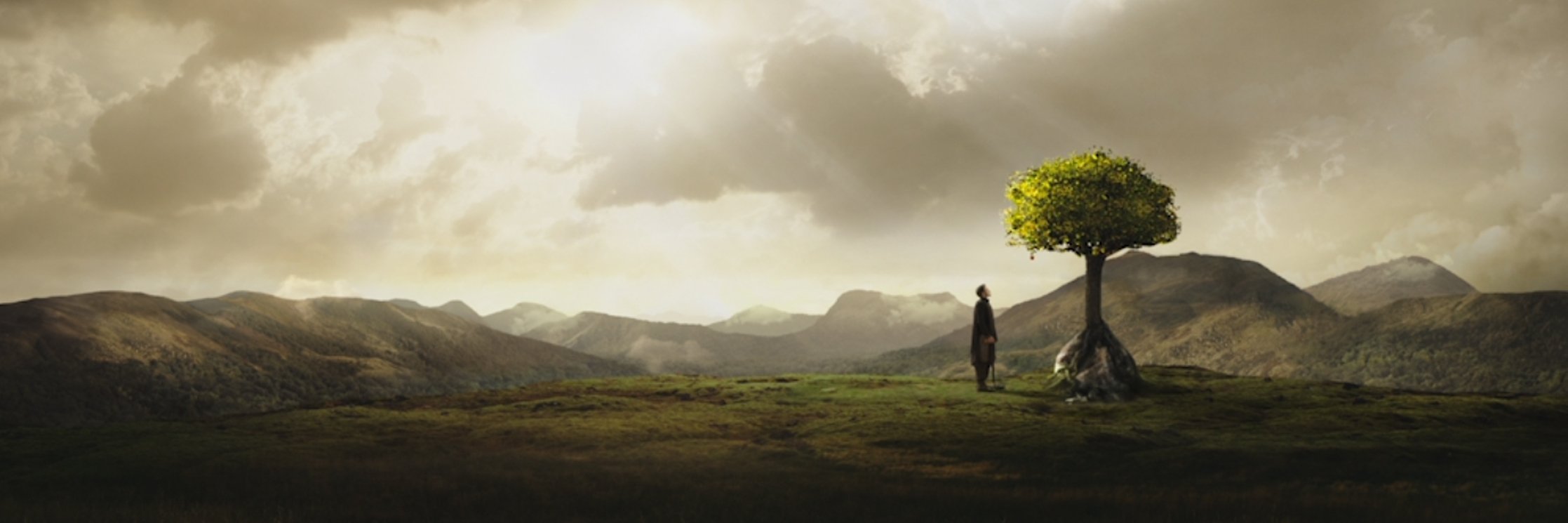 mimadamos's profile banner image